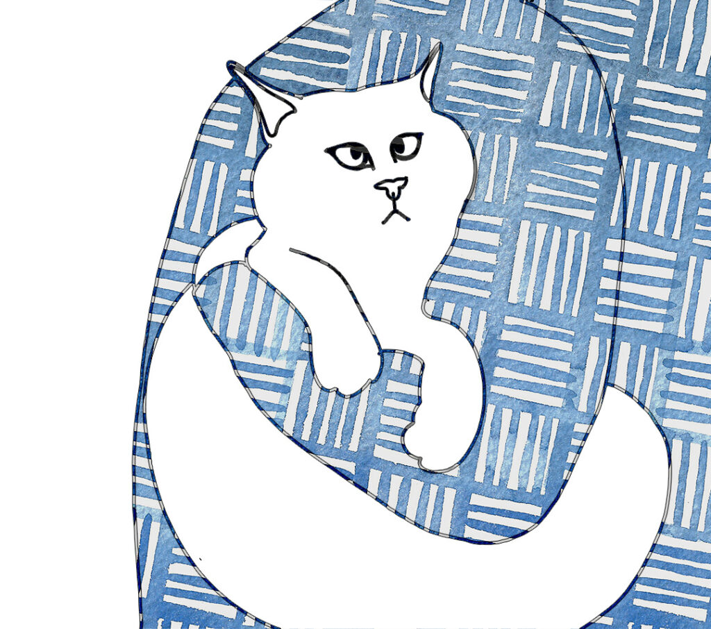 Katt IV