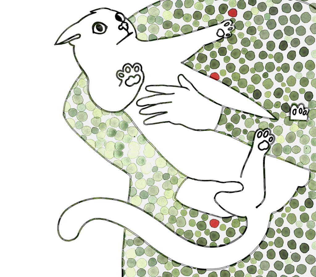 Katt III