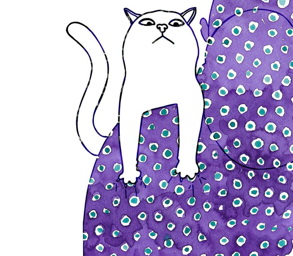 Katt II